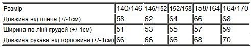 Вітровка для хлопчика (юніор) Носи своє 158 Зелений (p-12318-136945) | Зображення 4