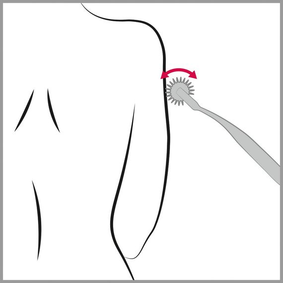 Колесо Вартенберга игольчатое Pin Wheel sexstyle | Зображення 3