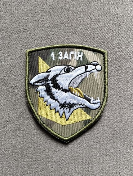 Шеврон 1 отряд / мультикам