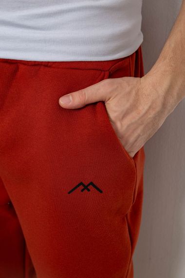 Спортивные штаны мужские на флисе, цвет терракотовый, 238R57256-1 | Зображення 4