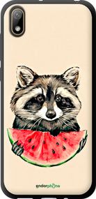 Чохол на Huawei Y5 2019 Єнотик з кавуном "4605b-1695-2448"