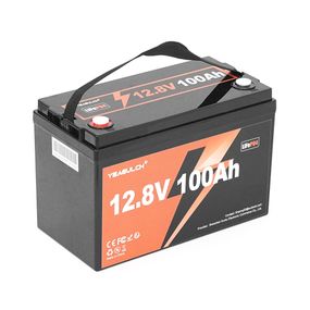 Аккумуляторная батарея YEAGULCH LiFePO4 12.8V 100A h 1280W h, BMS-100A