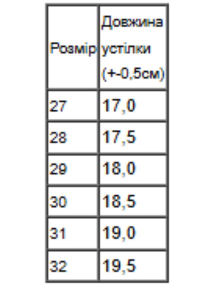 Демісезонні черевики для дівчинки на флісі однотонні Носи своє 31 Чорний (p-18291-217527) | Зображення 1