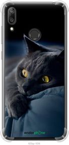 Чохол на Huawei Y7 2019 Димчастий кіт "825sp-1638-2448"