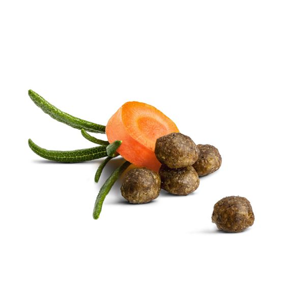 Сухий корм для кошенят з м'ясом птиці Happy Cat Kitten Land Geflugel, 1.3 кг | Зображення 1