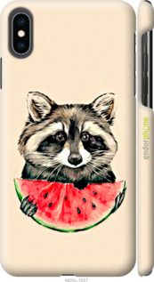 Чохол на iPhone XS Max Єнотик з кавуном "4605c-1557-2448"