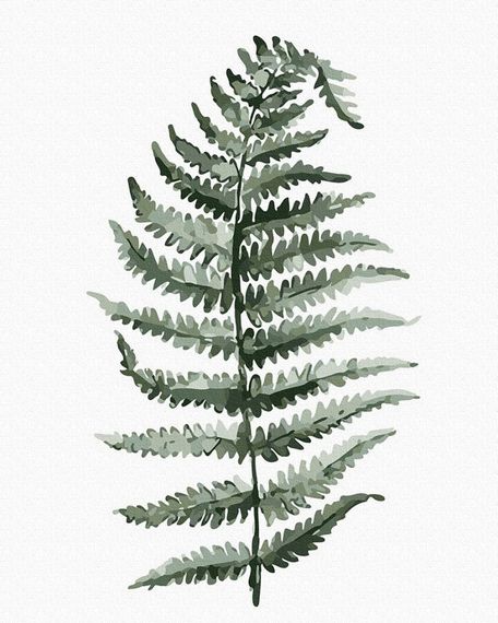 Лист папороті