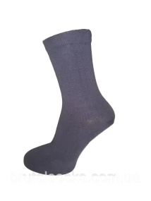 Високі шкарпетки жіночі однотонні ТМ Twinsocks 23/S/35-37, Сірий