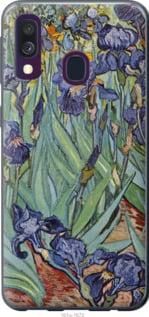 Чехол на Samsung Galaxy A40 2019 A405F Винсент Ван Гог. Ирисы из пластика FCh_065729