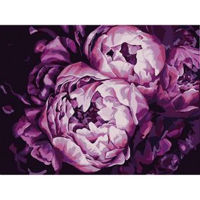 Картина за номерами "Помпезні півонії" 13131-NN 30х40