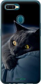 Чохол на Oppo A5S Димчастий кіт "825u-1892-2448"