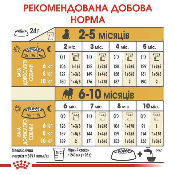 Сухий корм Royal Canin Pug Puppy для цуценят мопса до 10 місяців. 1.5 кг | Зображення 2