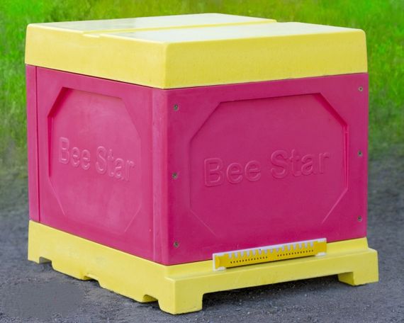 Вулик ППУ “BeeStar” (1 корпус Дадан 300 мм 10 рамок) – кольоровий | Зображення 3