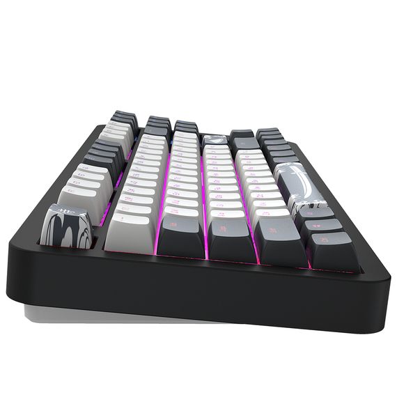 Клавіатура Dark Project ALU87 Bushido ABS RGB Mech G3MS Moonstone Black/White (DPKB_BUSHIDO_87_ANSI_UA) | Зображення 6
