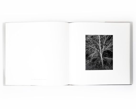 Подарункова книга для фотографів роботи Джона Секстона John Sexton "Recollections" пейзажна фотографія книги | Зображення 8