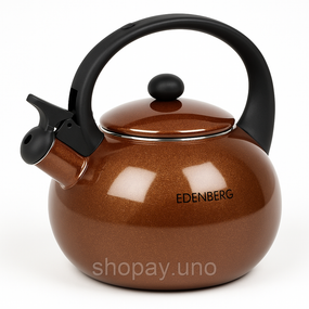 Чайник для чайной церемонии со свистком Edenberg EB-12609 2.2л, Чайник со свистком бакелитовой ручкой QX-65