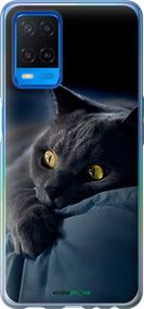 Чохол на Oppo A54 Димчастий кіт "825u-2306-2448"