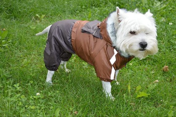 Комбінезон для собак Дуэт коричневий. №5 58х86 см | Зображення 1