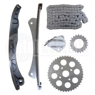 Комплект цепи ГРМ Citroen Nemo 1.3 HDi 10-/ Fiat Doblo 1.3 D Multijet 10-/Qubo 1.3 D Multijet 08-/ Opel Combo 1.3 CDTi 04-/ Meriva