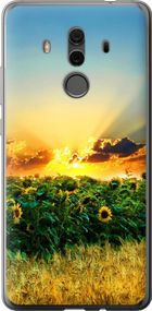 Чехол на Huawei Mate 10 Pro Украина "1601u-1138-17620"