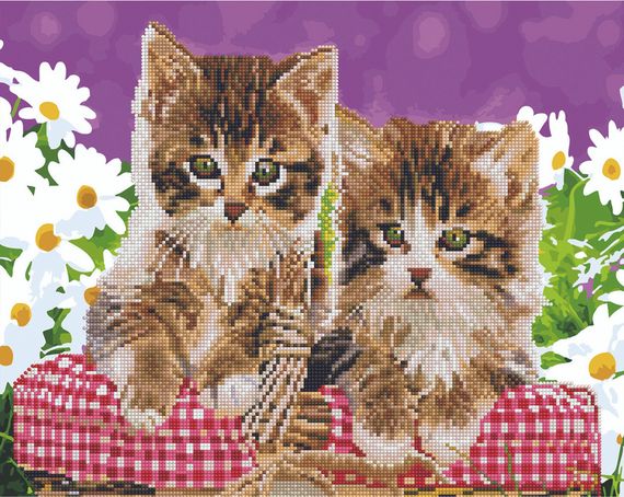 Кошенята в кошику