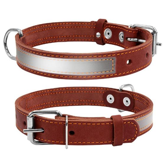 Ошейник для собак CoLLaR со светоотражающей лентой