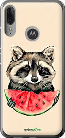 Чохол на Motorola Moto E6 Plus Єнотик з кавуном "4605u-1780-2448"