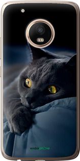 Чохол на Motorola Moto G5 PLUS Димчастий кіт "825u-1038-2448"