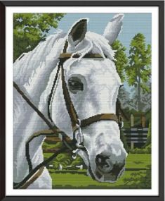Набор для вышивания по нанесённой на канву схеме  "White horse 1". AIDA 14CT printed 37*46 см