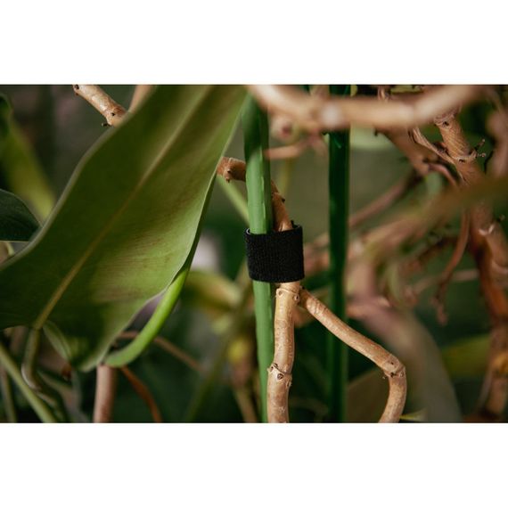 Багатофункціональна стрічка Bradas Т рулон на липучці, 19 мм х 5 м, чорний (TYHLT19005/BK) | Зображення 1