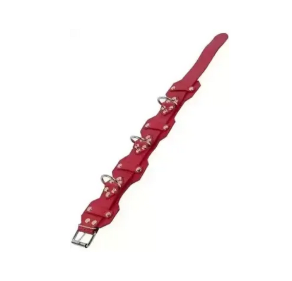 Ошейник VIP Leather Collar, RED Sex Aura | Зображення 2