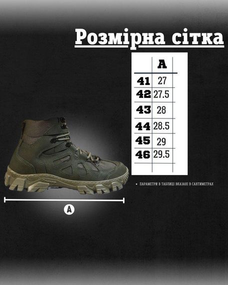 Тактичні черевики Troya РН6528 | Зображення 2