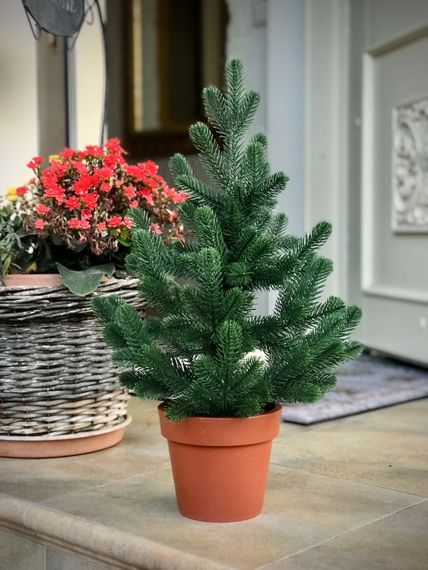 Ёлка Traditional литая в горшке 50 см зелёная новинка | Зображення 4