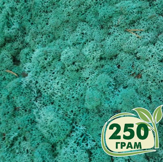 Стабілізований мох ягель Смарагдовий 250 грам