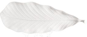 Блюда сервіровочні (2 штуки) White City Лист 43x16см, біла порцеляна