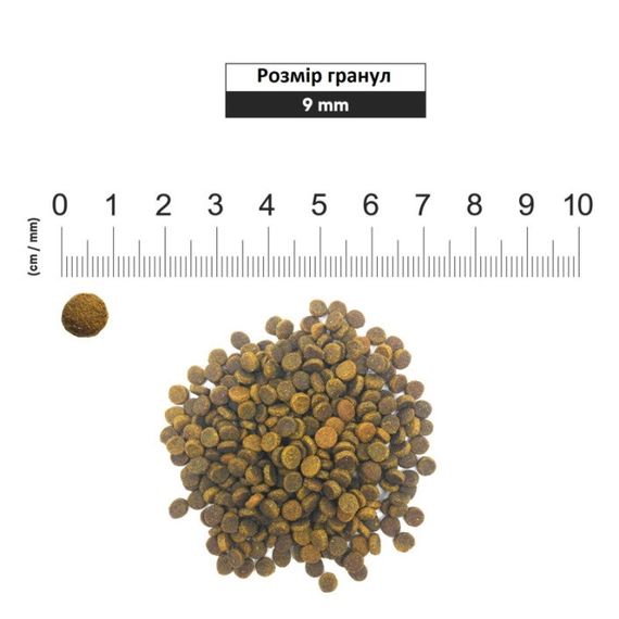 Сухий корм з куркою для профілактики СКХ у котів 1st Choice Cat Adult Urinary, 10 кг | Зображення 2