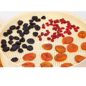 Сушильный аппарат дегидратор для фруктов и овощей VILGRAND VDF520-20 520 Вт 20 Л, Дегидратор AU-788 для овощей