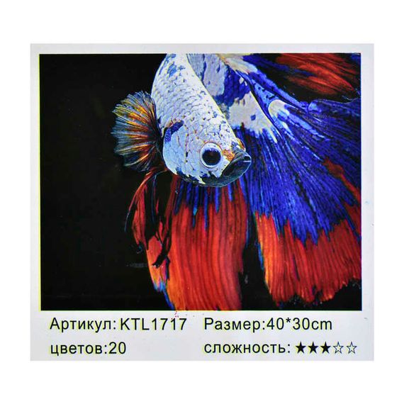 Картина по номерам KTL 1717 (30) в коробке 40х30