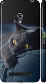 Чохол на Asus Zenfone 5 Димчастий кіт "825c-81-2448"