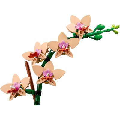 Конструктор LEGO Botanicals Мини орхидея (10343) | Зображення 5