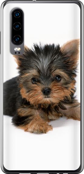 Чехол на Huawei P30 Щенок йоркширского терьера "931u-1622-17620"