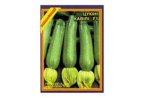 Насіння кабачка Кавілі F1 5 шт. (Nunhems)