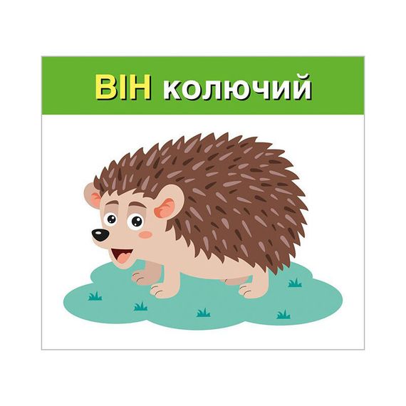 Учебные карточки "Изучаем местоимения ОН, ОНА, ОНО, ОНИ" 10109168, 15 карточек | Зображення 2