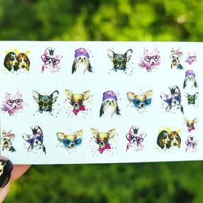 Слайдер D-07 на водяній основі (5x8см)