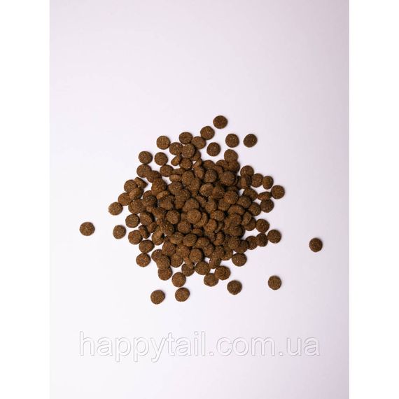 Корм Savory Junior Large для молодих собак великих порід, індичка та курка, холістик, 3 кг | Зображення 1