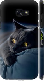 Чохол на Samsung Galaxy A5 (2017) Димчастий кіт "825m-444-2448"