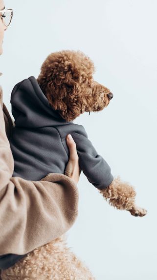 Толстовка кишеня сiра Y-321 | Зображення 1