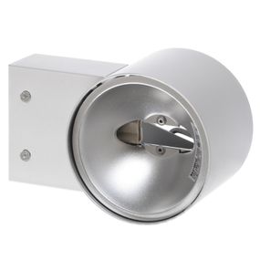 Светильник фасадный Silver (MRL-03-05)