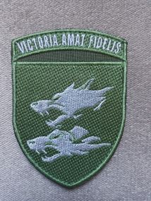 Шеврон 38 ОБрМП - В наличии (зеленый)