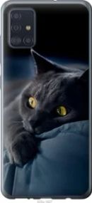 Чехол на Samsung Galaxy A51 2020 A515F Дымчатый кот из пластика FCh_032812